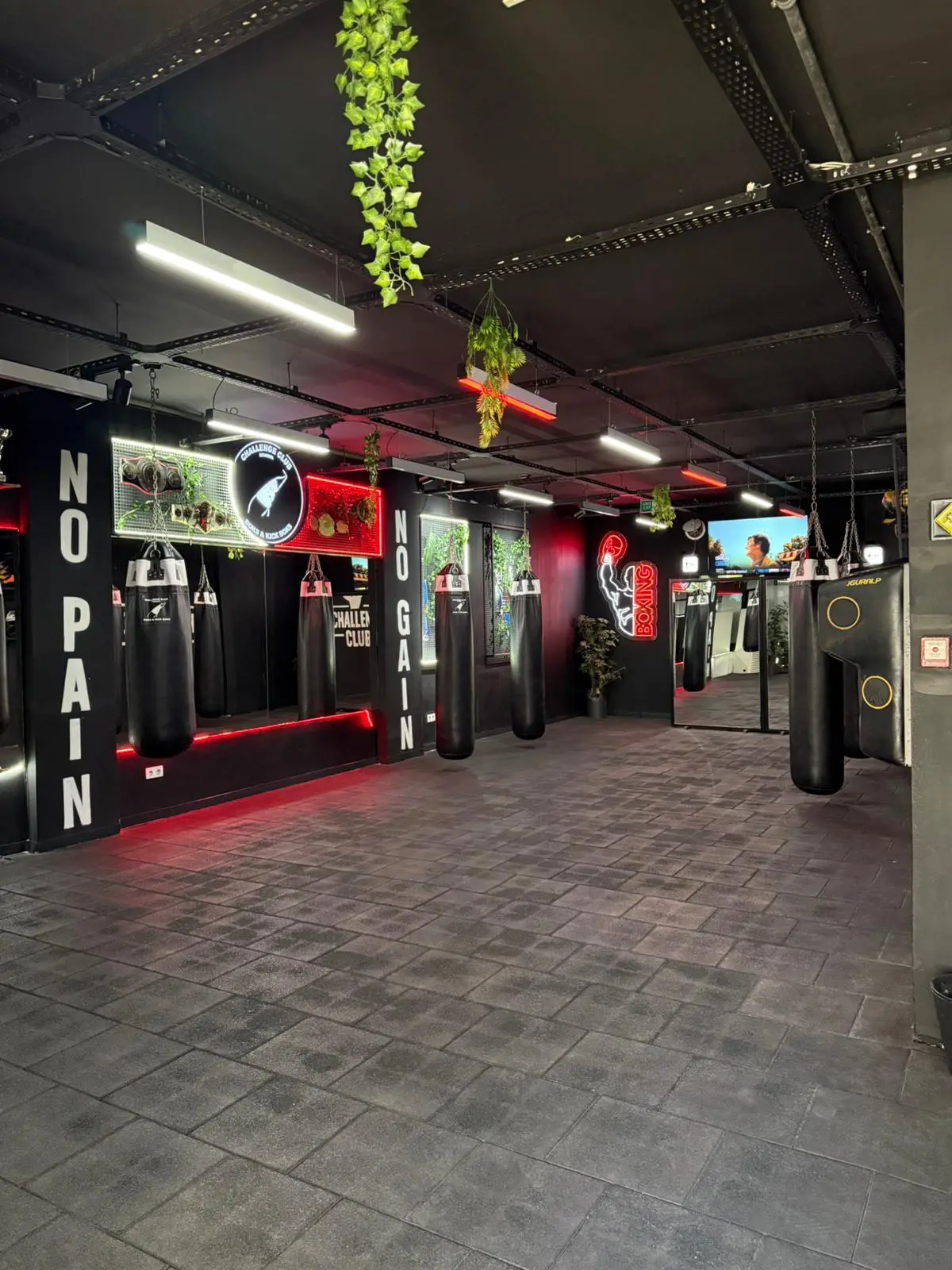 Challenge Club Istanbul salonunda kupa vitrini ve boks antrenman alanı